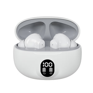 Professional Display Earbuds