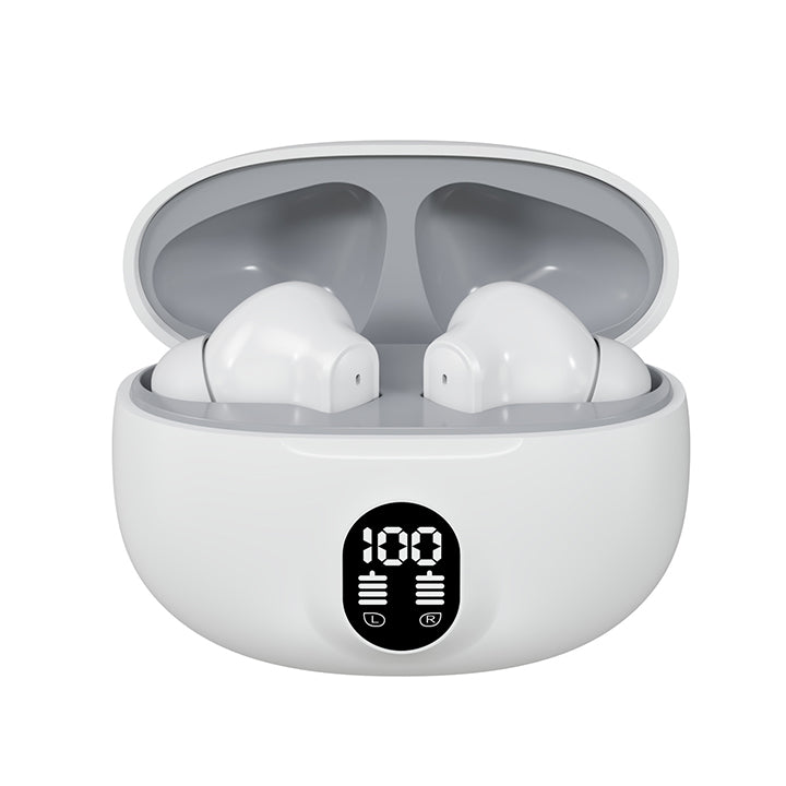 Professional Display Earbuds