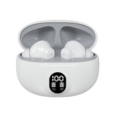 Professional Display Earbuds